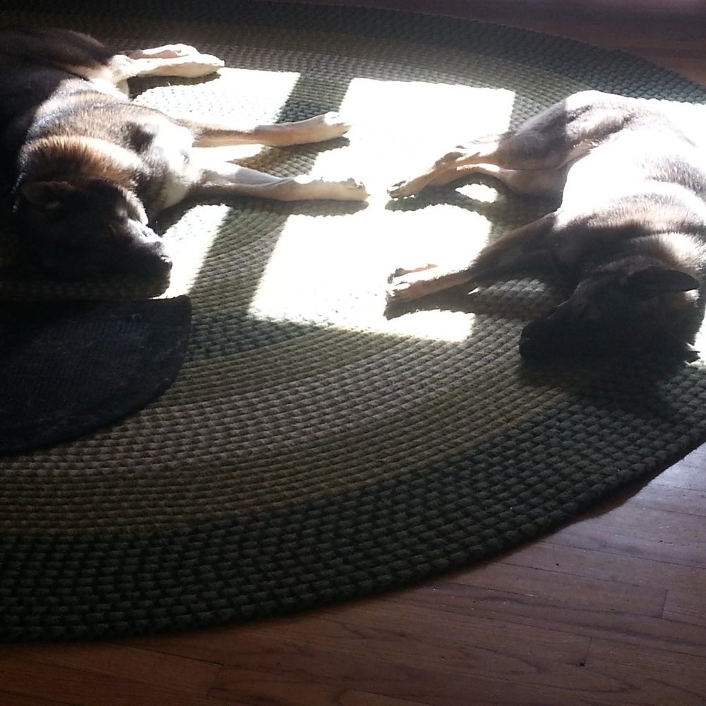 Everything from the back of the closet that I forgot about.